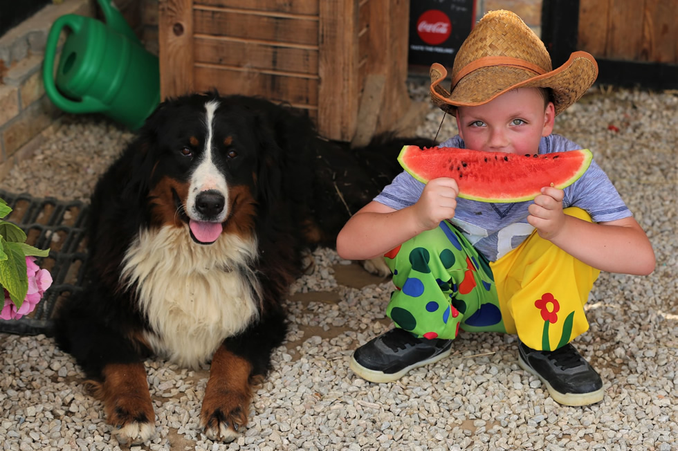 Dječije aktivnosti - Lazy Horse