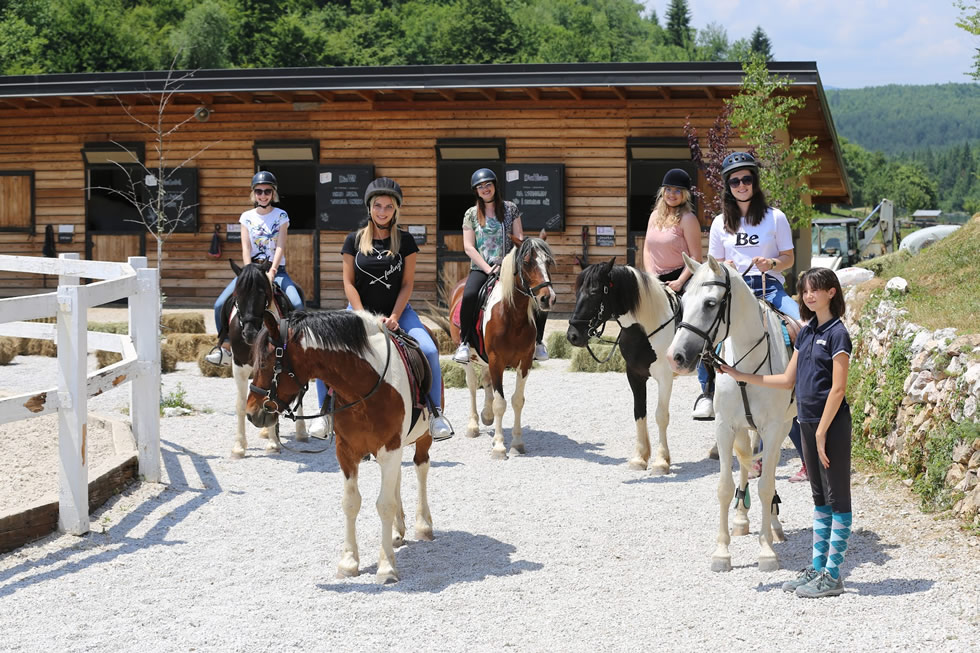 Lazy Horse - Teambuilding